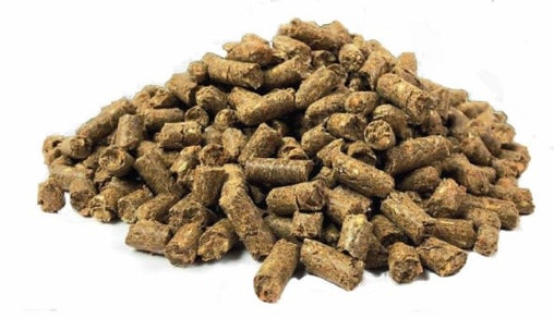 CMCS QUEEN Winter Fishery Pellet
