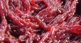 Bloodworm