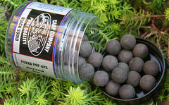 Carp Company Frozen Day Session Pack