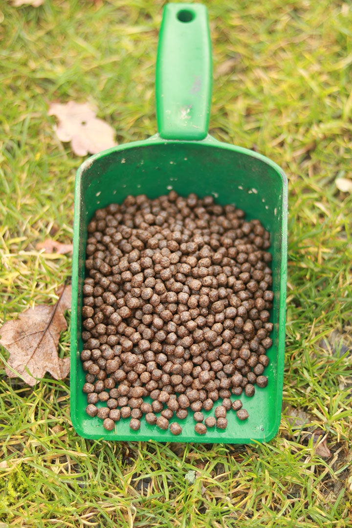 Premium High Protein Carp Floating Pellet