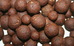 Carp Company Frozen Day Session Pack