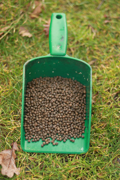 Carp Pellet – CMCS Fish Feed