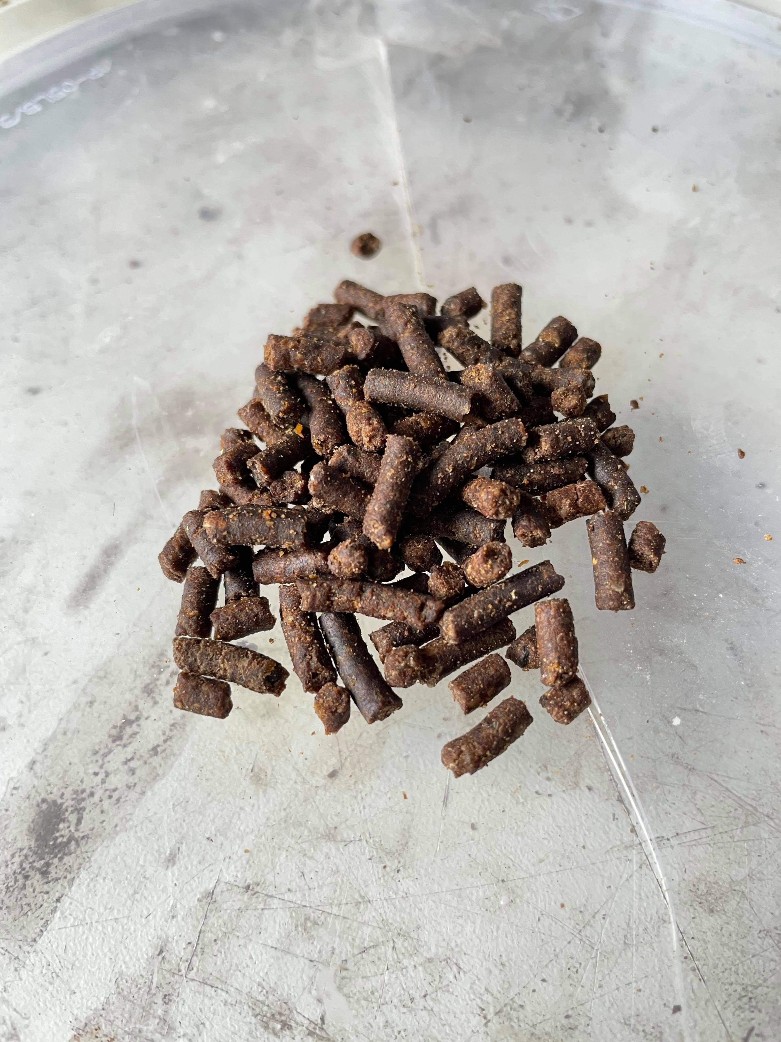 Black Fly and Blood Pellet