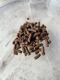Black Fly and Blood Pellet