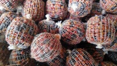 Pre-Tied Mesh Pva Bags