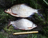 Skimmer Bream
