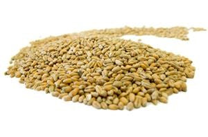 Whole Wheat