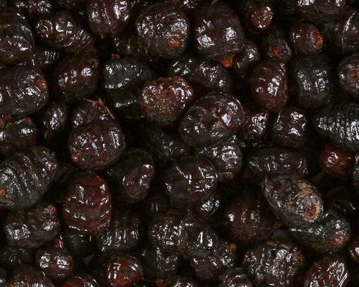 Black Tigers