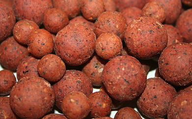 10kg Boilie & Pellet Session Pack