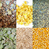40kg Session Pack Boilie, Flaked Particle, Pellet & Particle