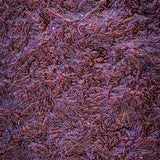 Particle Infused Bloodworm