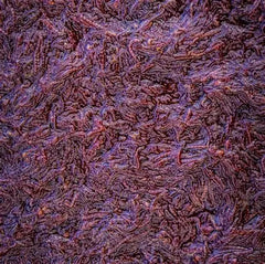 Particle Infused Bloodworm