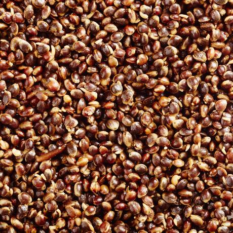 10kg Session Pack Chilli Hemp, Chilli Hemp Pellet, Chilli Hemp Oil