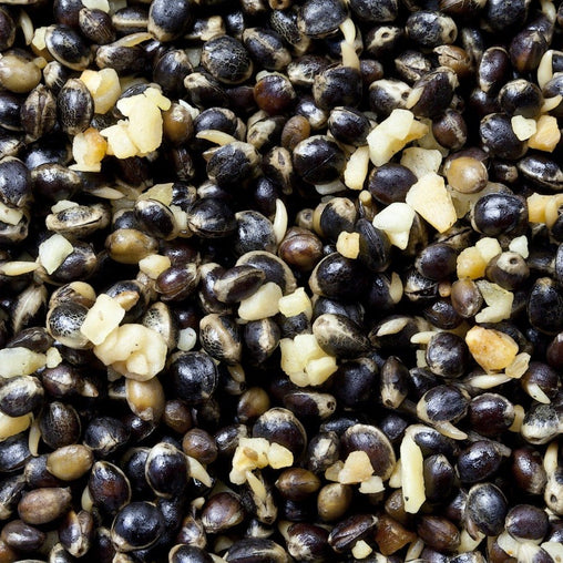 10kg Session Pack Garlic Particle & Pellet