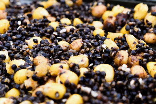 Hempseed, Maize & Tigers