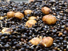 Hempseed, Buckwheat & Tigers