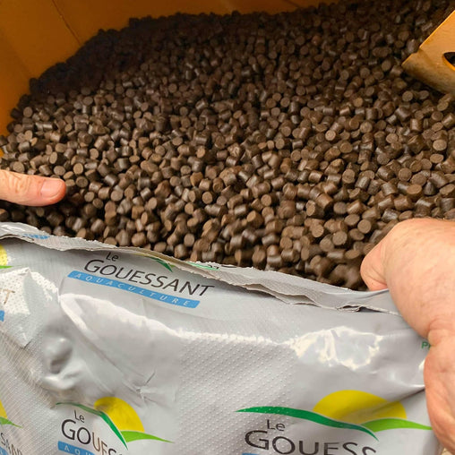 20kg Boilie & Pellet Session Pack