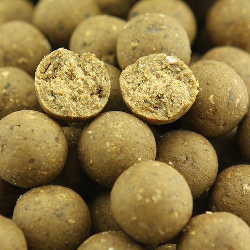 10kg Session Pack Boilie, Flaked Particle, Pellet & Particle