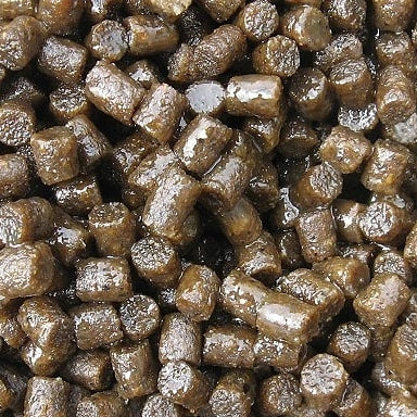 10kg Session Pack Spicy Particle & Pellet