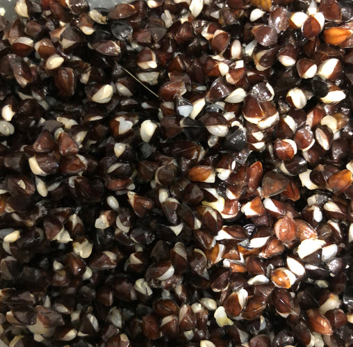 Buckwheat/Tuna