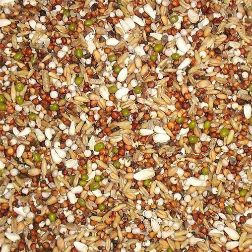Spicy Ani-Small Seed Mix