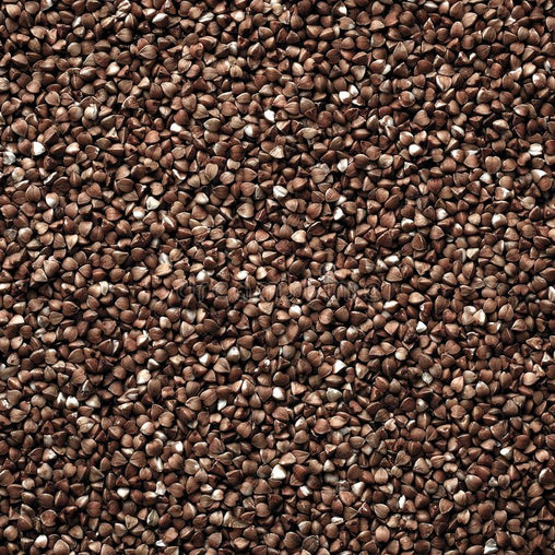 Buckwheat/Maggots or Casters