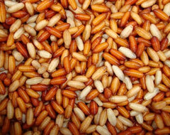 Buckwheat/Maggots or Casters