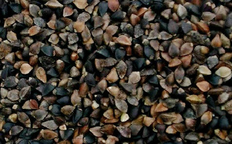 Spicy Buckwheat