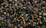 Spicy Buckwheat