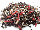 Hempseed/Maggot or Casters