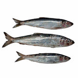 Herring Jacks