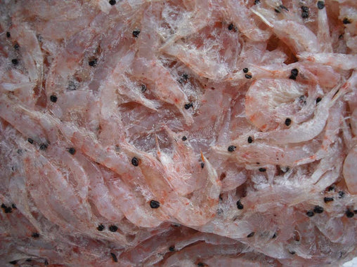 Krill