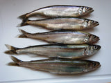 Smelt